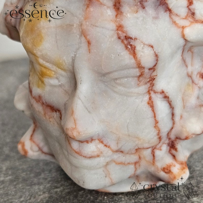 Red Vein Medusa Head