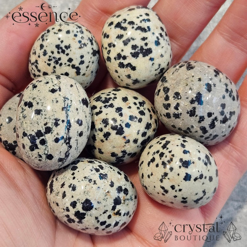 Dalmation Jasper Tumbled Stone