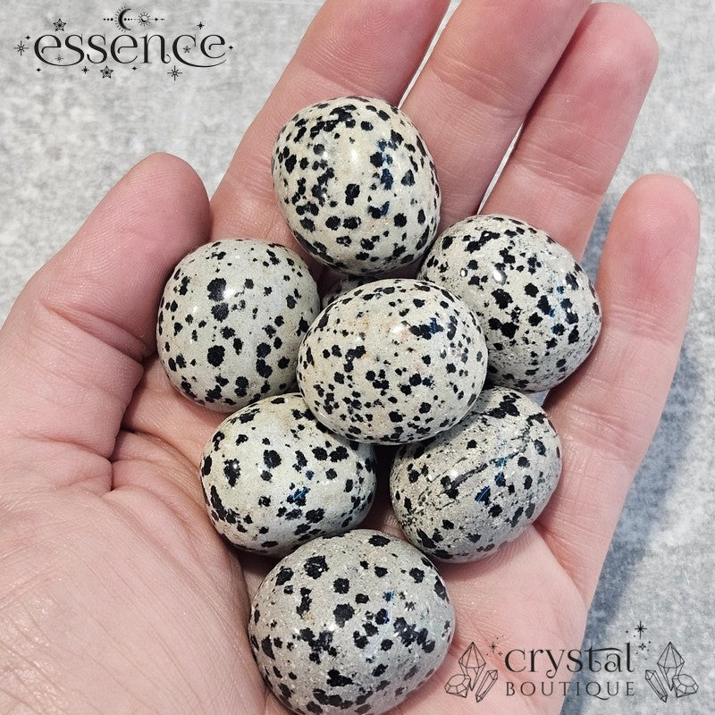 Dalmation Jasper Tumbled Stone