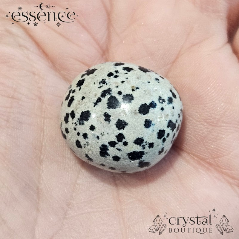 Dalmation Jasper Tumbled Stone