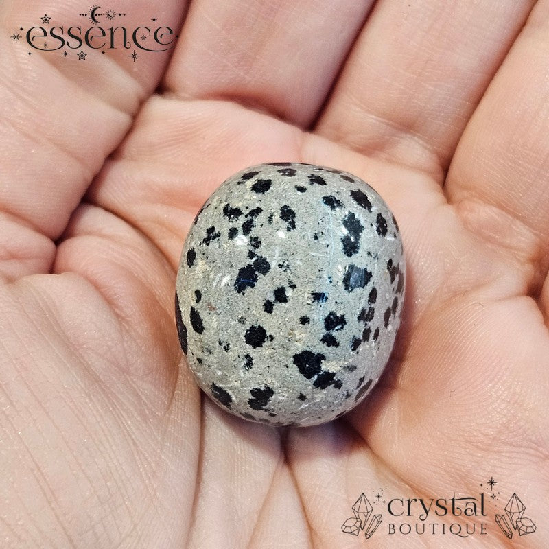 Dalmation Jasper Tumbled Stone