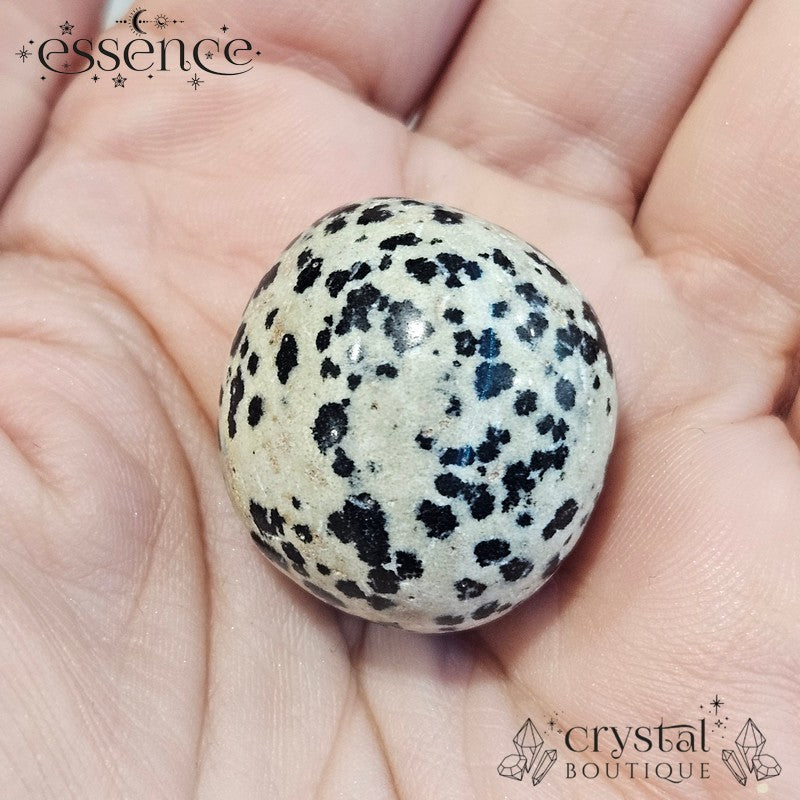 Dalmation Jasper Tumbled Stone