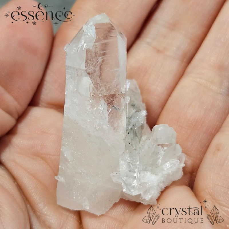 Lemurian Quartz Cluster