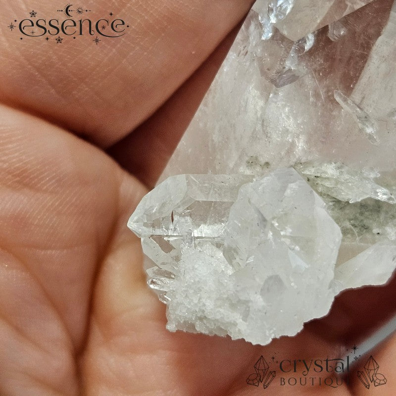 Lemurian Quartz Cluster