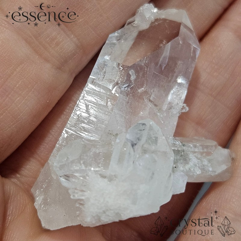 Lemurian Quartz Cluster