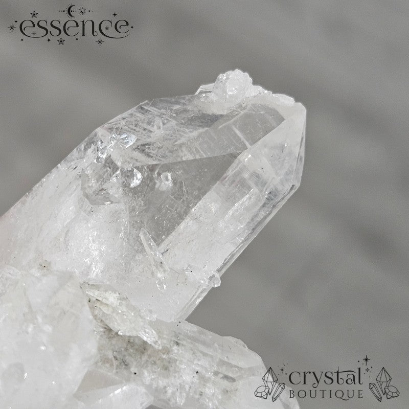 Lemurian Quartz Cluster