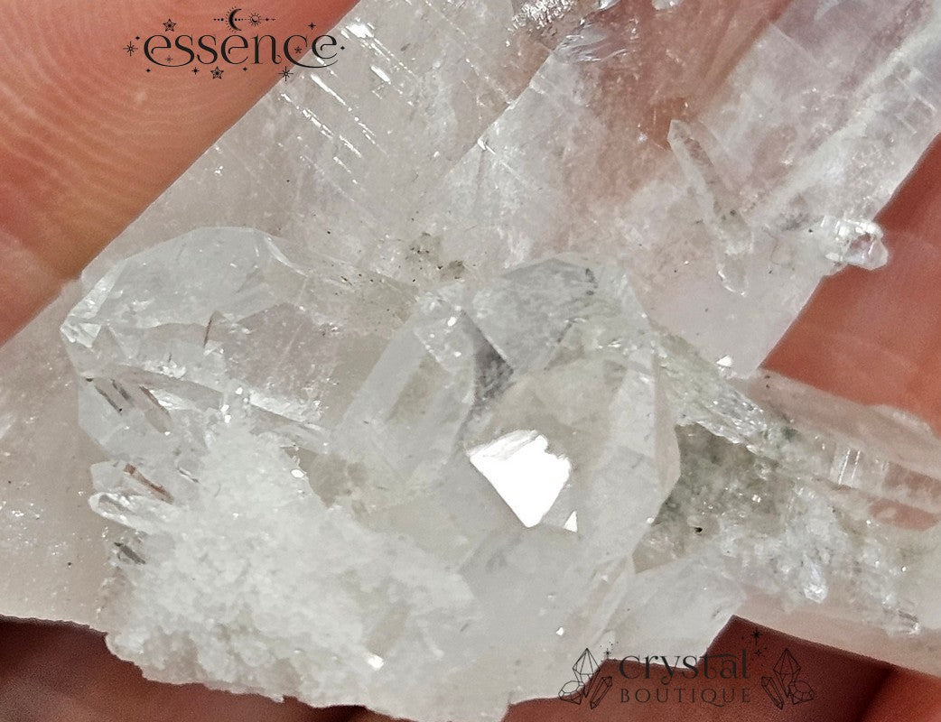 Lemurian Quartz Cluster