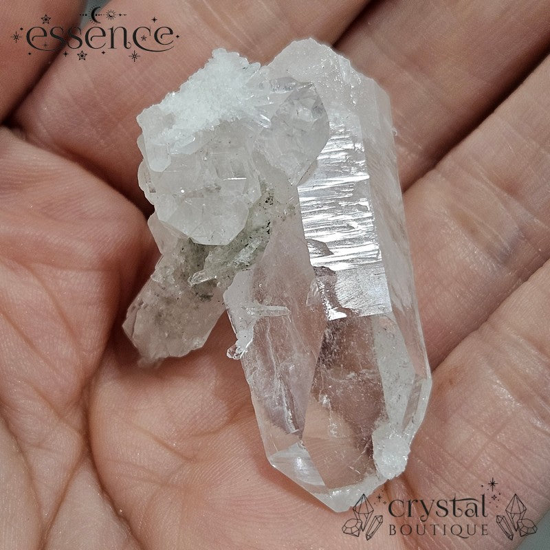 Lemurian Quartz Cluster