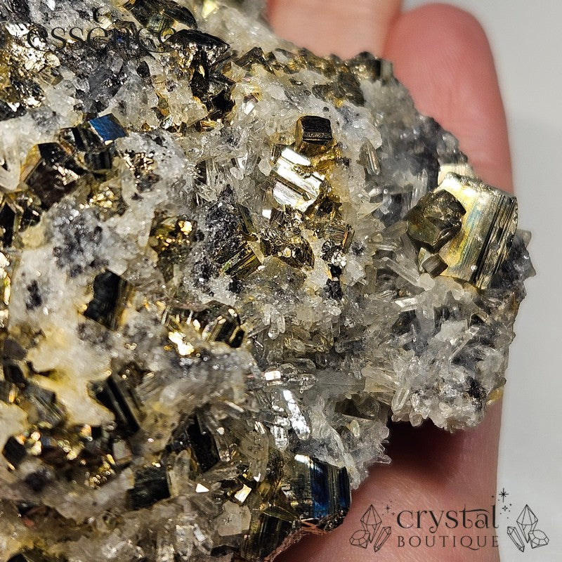 Bulgarian Crystal Specimen with Pyrite, Sphalerite, Quartz and Galena - 271g