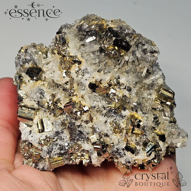 Bulgarian Crystal Specimen with Pyrite, Sphalerite, Quartz and Galena - 271g