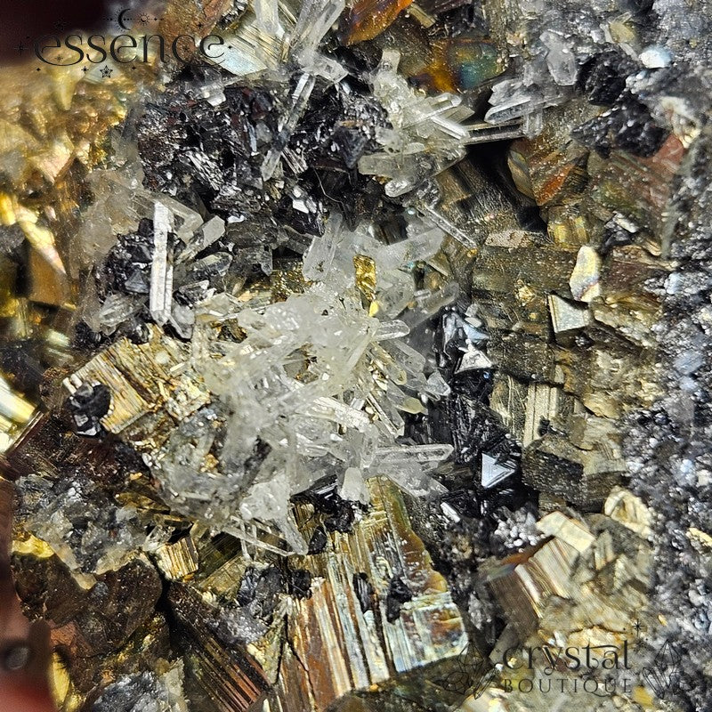 Bulgarian Crystal Specimen with Pyrite, Quartz and Galena - 168gm