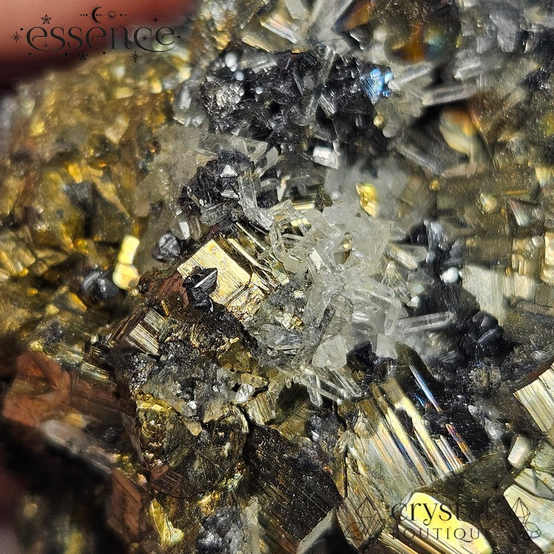 Bulgarian Crystal Specimen with Pyrite, Quartz and Galena - 168gm