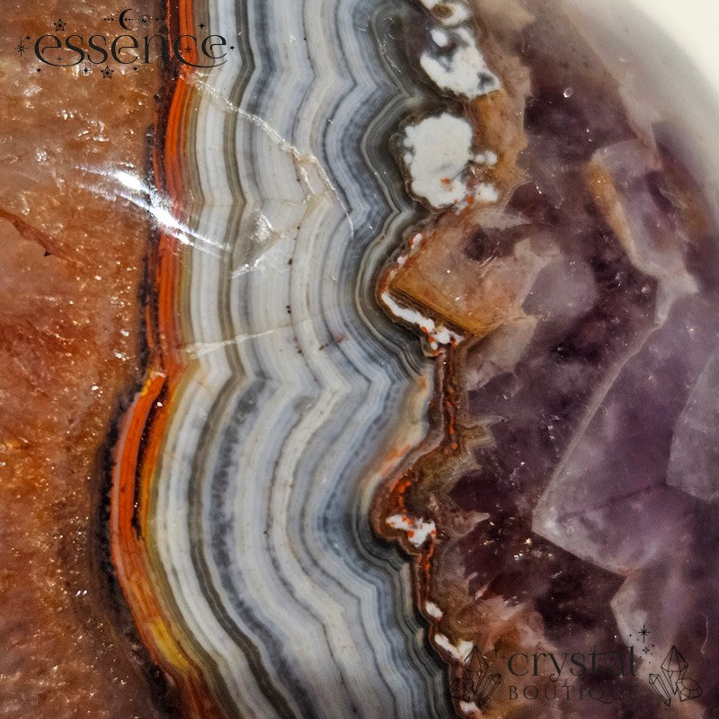 Amethyst Skull with Crazy Lace Agate and Red Quartz