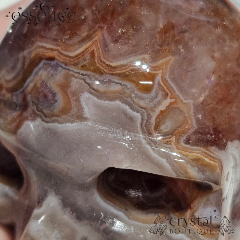 Amethyst Skull with Crazy Lace Agate and Red Quartz