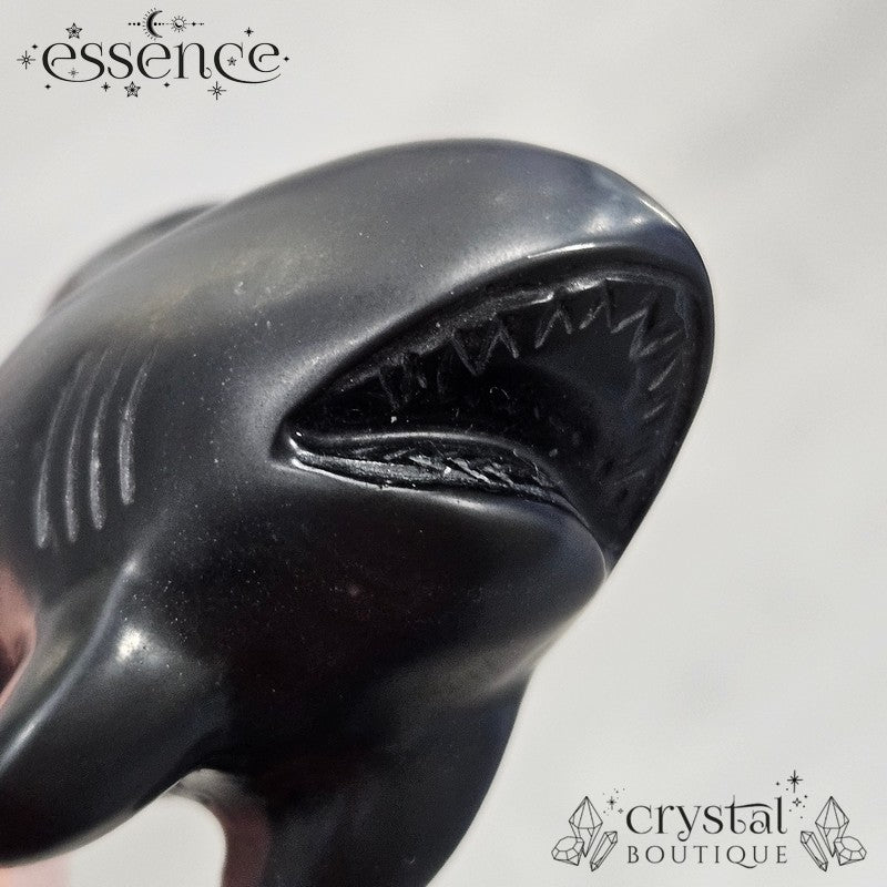 Black Obsidian Shark – Power and Resilience