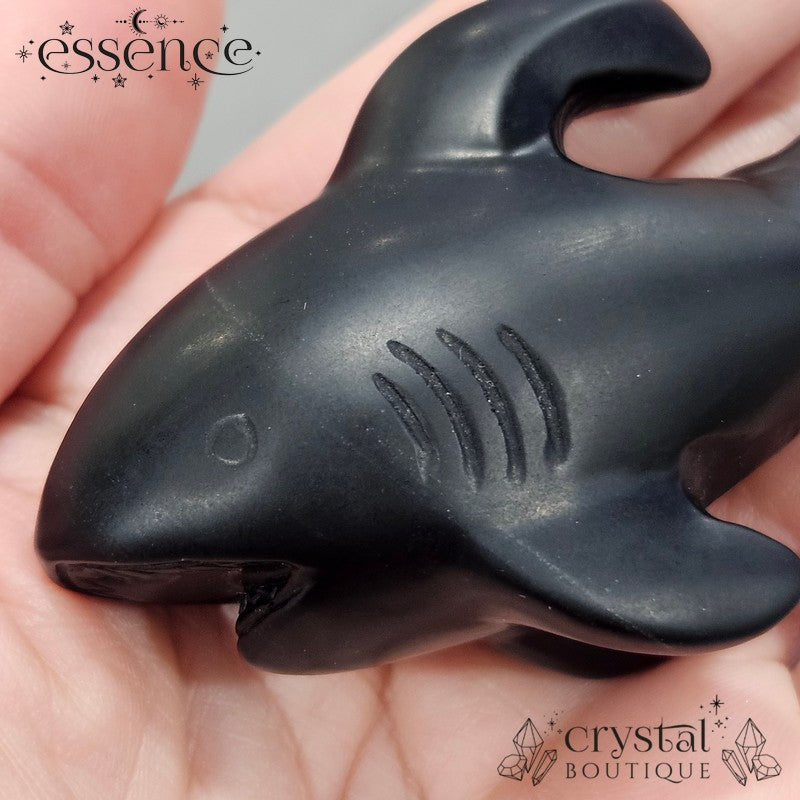 Black Obsidian Shark – Power and Resilience