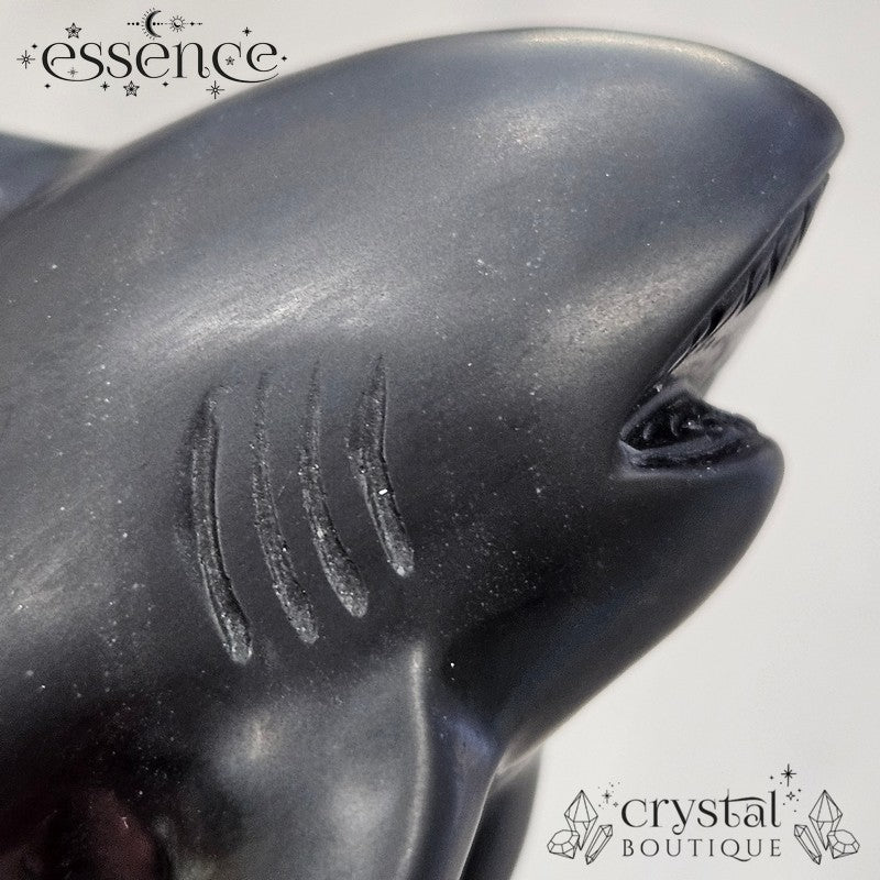 Black Obsidian Shark – Power and Resilience