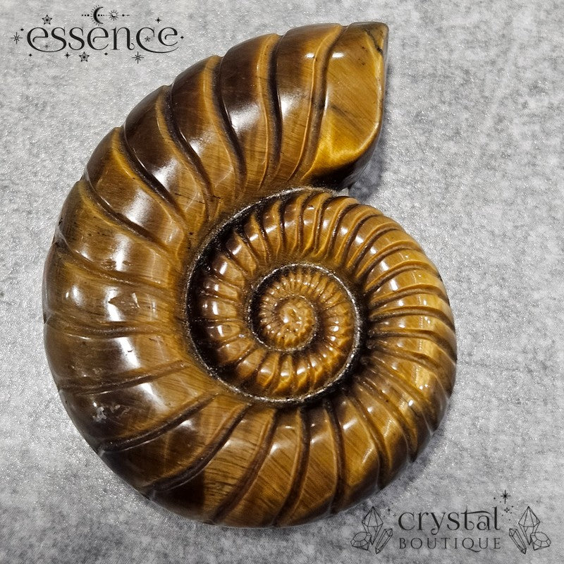 Tiger’s Eye Ammonite Carving – 47g - Confidence & Protection