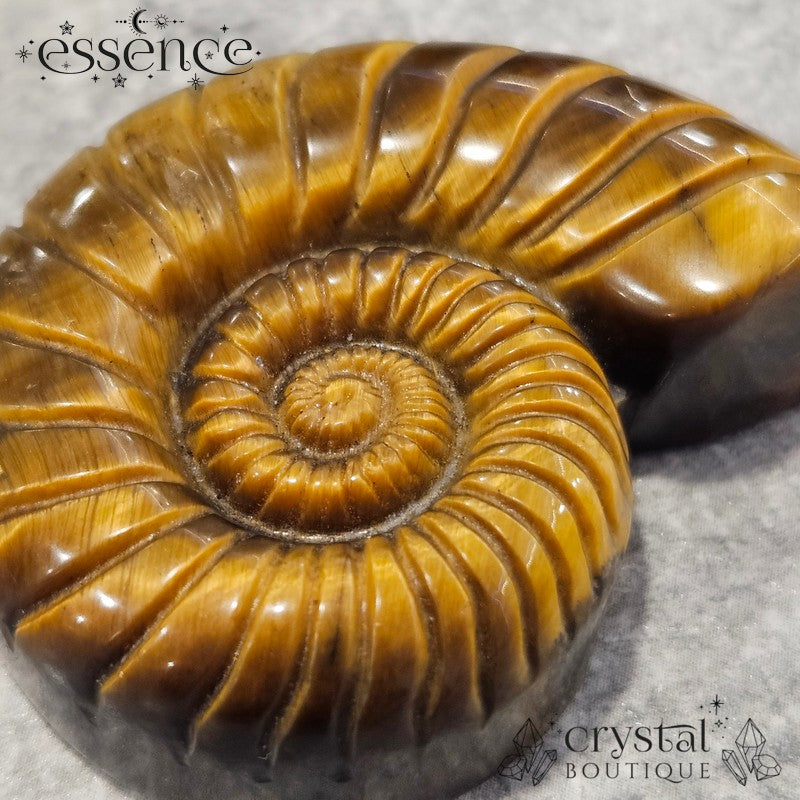 Tiger’s Eye Ammonite Carving – 47g - Confidence & Protection