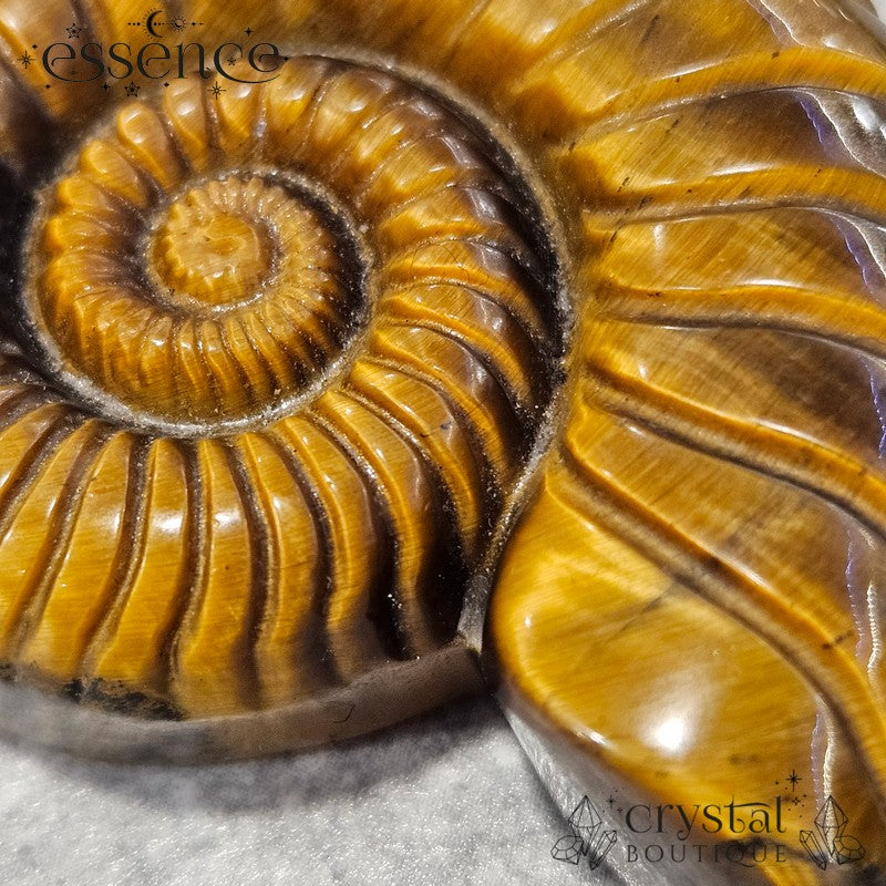 Tiger’s Eye Ammonite Carving – 47g - Confidence & Protection