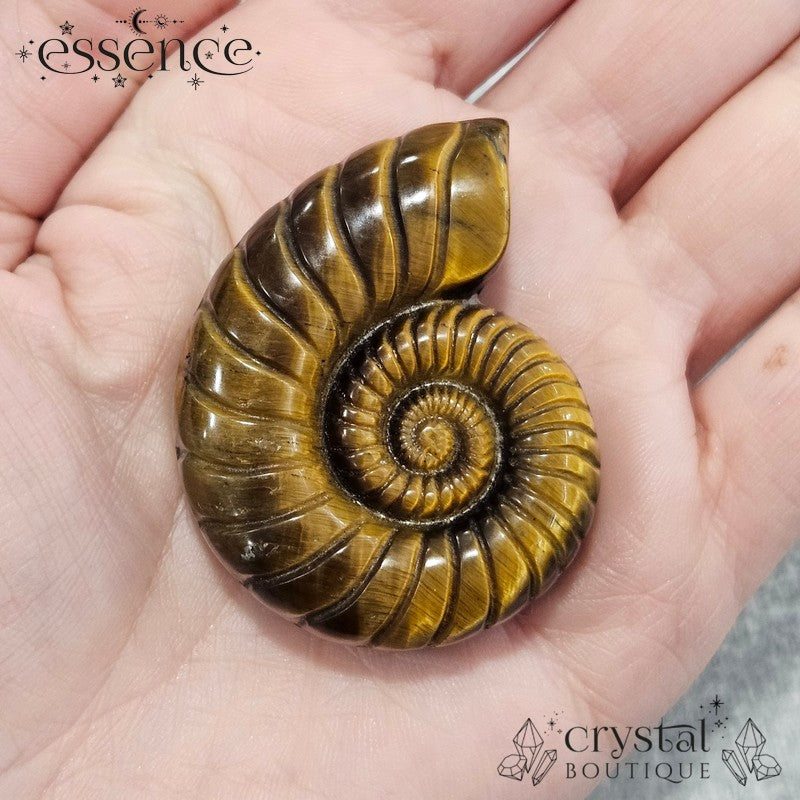 Tiger’s Eye Ammonite Carving – 47g - Confidence & Protection