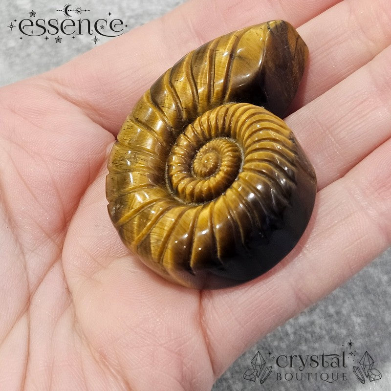 Tiger’s Eye Ammonite Carving – 47g - Confidence & Protection