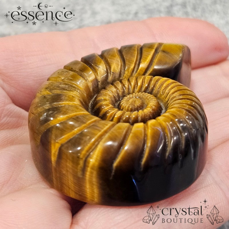 Tiger’s Eye Ammonite Carving – 47g - Confidence & Protection