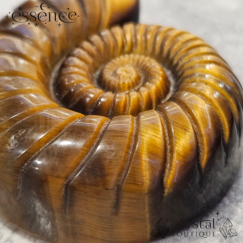 Tiger’s Eye Ammonite Carving – 47g - Confidence & Protection