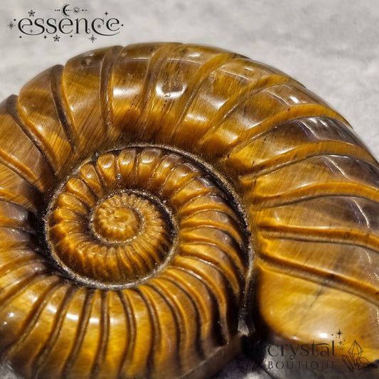 Tiger’s Eye Ammonite Carving – 47g - Confidence & Protection