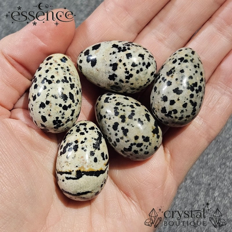 Dalmatian Jasper Egg - 30mm