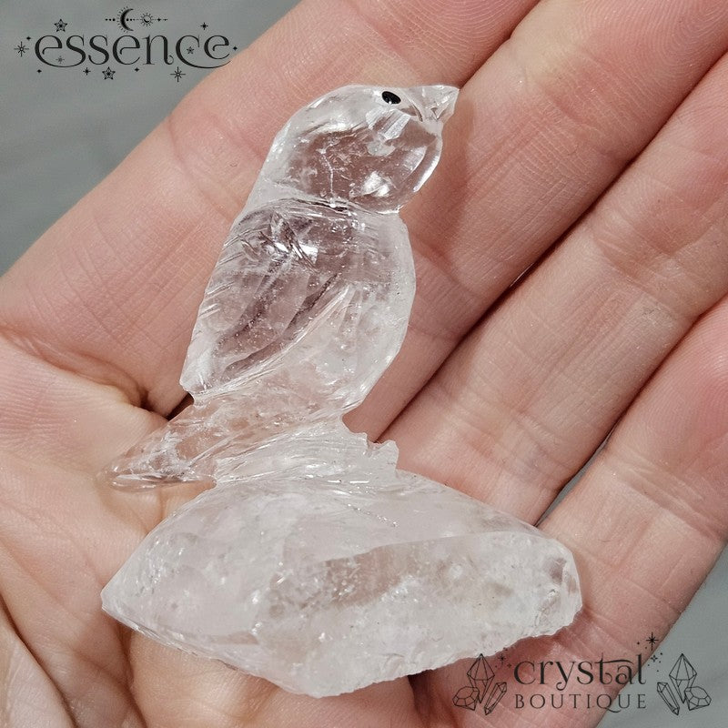 Clear Quartz Bird – Crystal Carving ✨🕊️