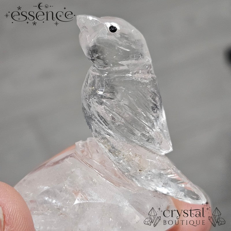 Clear Quartz Bird – Crystal Carving ✨🕊️