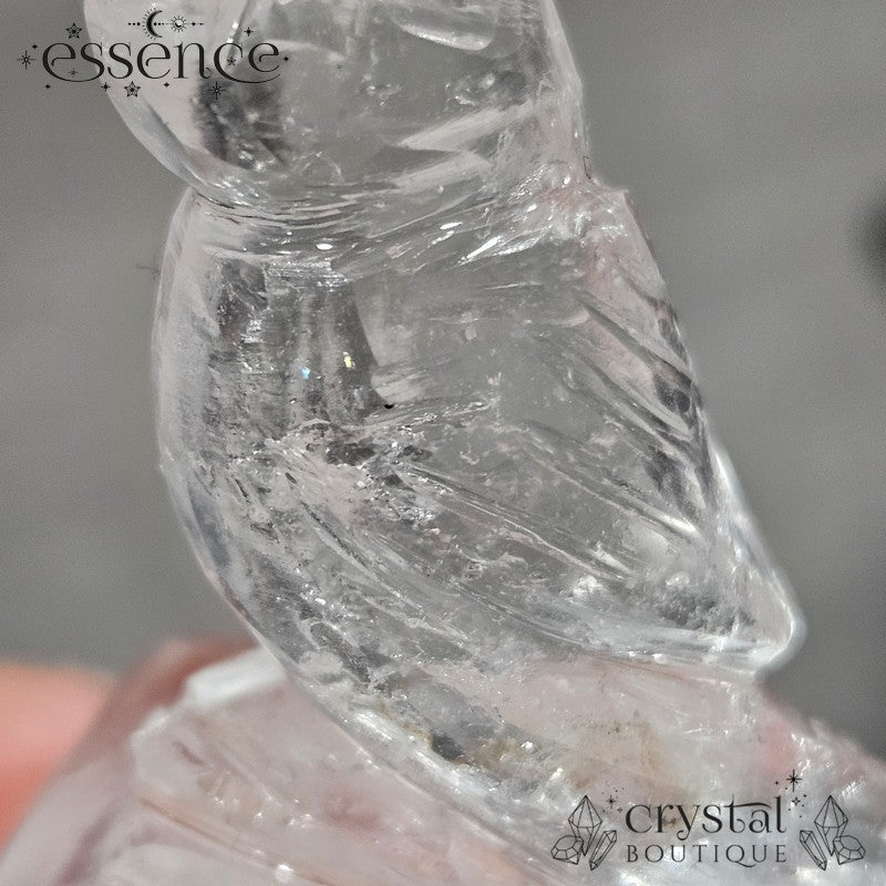 Clear Quartz Bird – Crystal Carving ✨🕊️