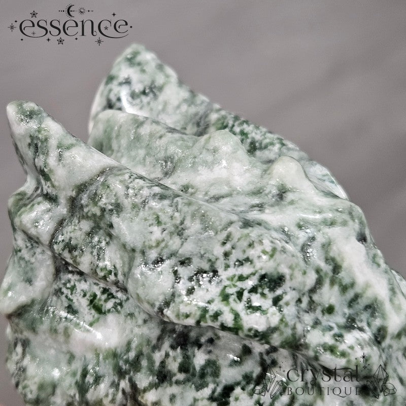 Tree Agate Dragon Head – The Guardian of Stability & Growth