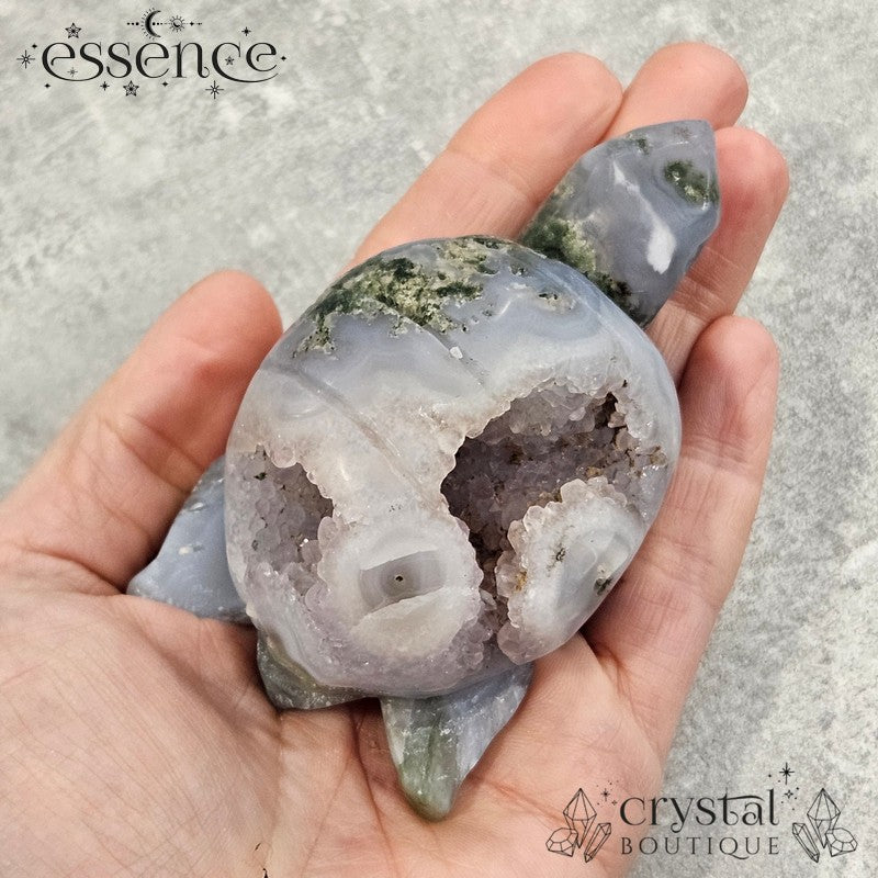 Druzy Moss Agate Turtle – 231g