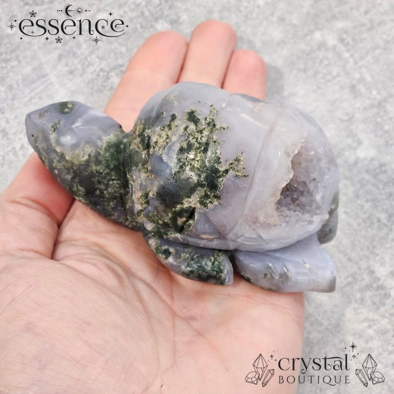 Druzy Moss Agate Turtle – 231g