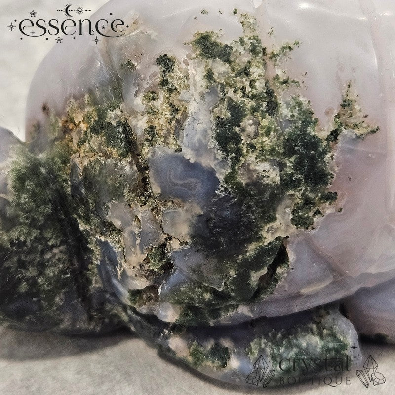 Druzy Moss Agate Turtle – 231g