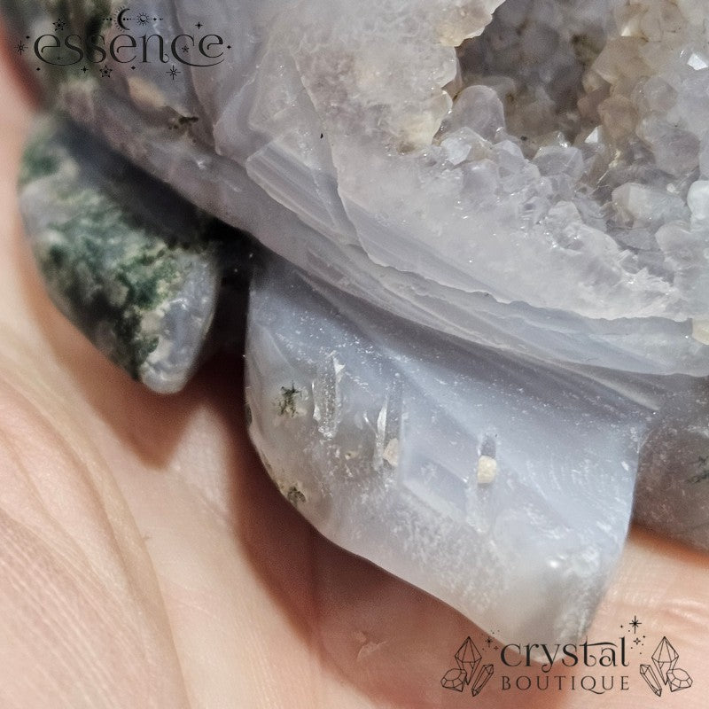 Druzy Moss Agate Turtle – 231g