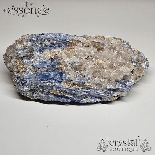 Blue Kyanite with Quartz Raw Specimen. Balance, Clarity & Alignment