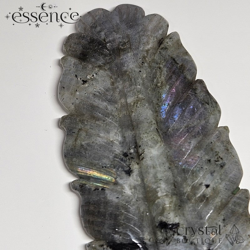 Labradorite Feather Carving 🪶