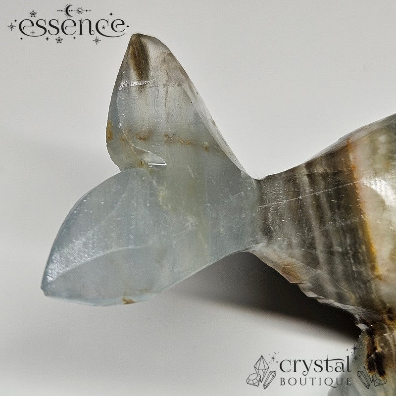 Blue Banded Calcite Whale