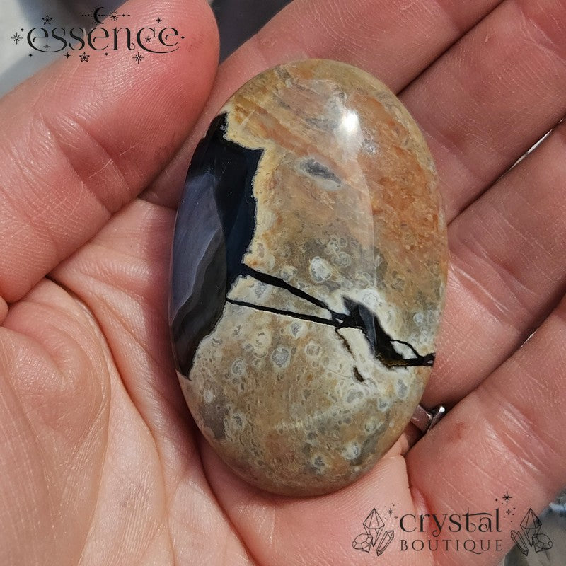Volcano Agate Palm Stone