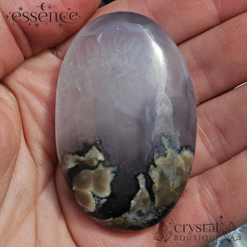 Volcano Agate Palm Stone
