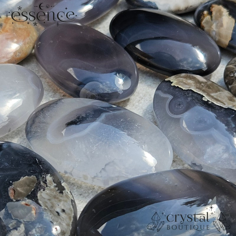 Volcano Agate Palm Stone