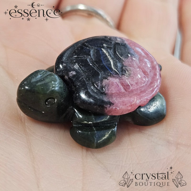 Mystery Crystal Turtle