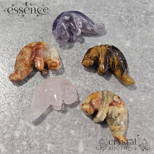 Mystery Crystal Walrus