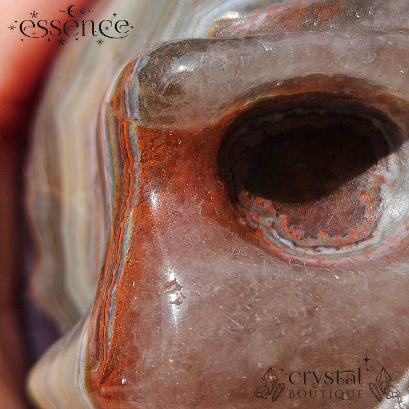 Amethyst & Red Quartz with Crazy Lace Agate  | 453g