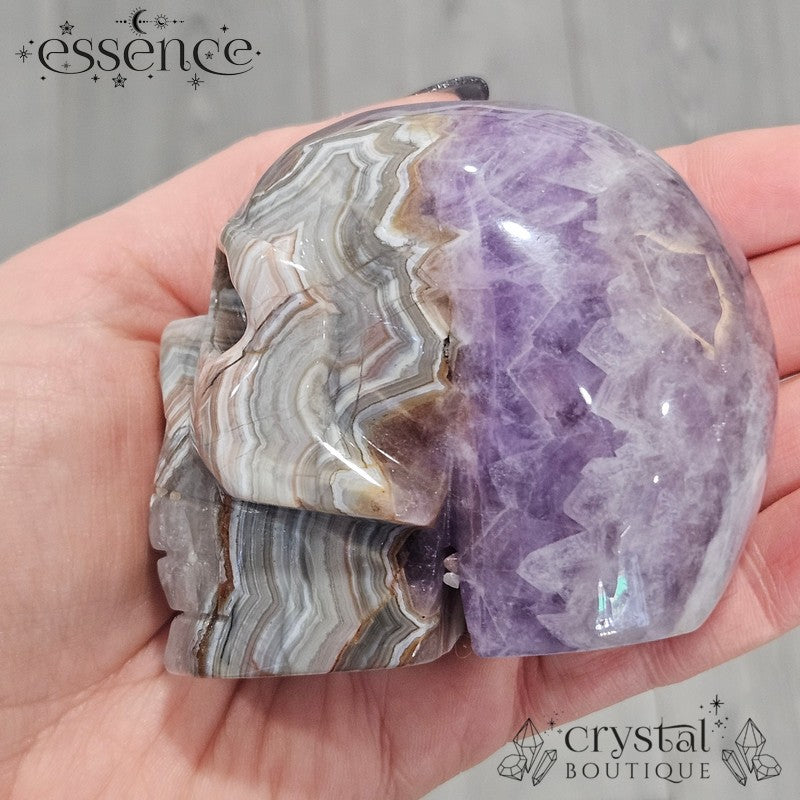Amethyst & Crazy Lace Agate Skull (442g)