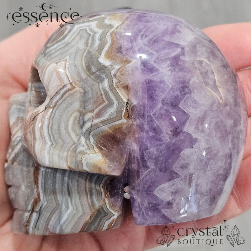 Amethyst & Crazy Lace Agate Skull (442g)