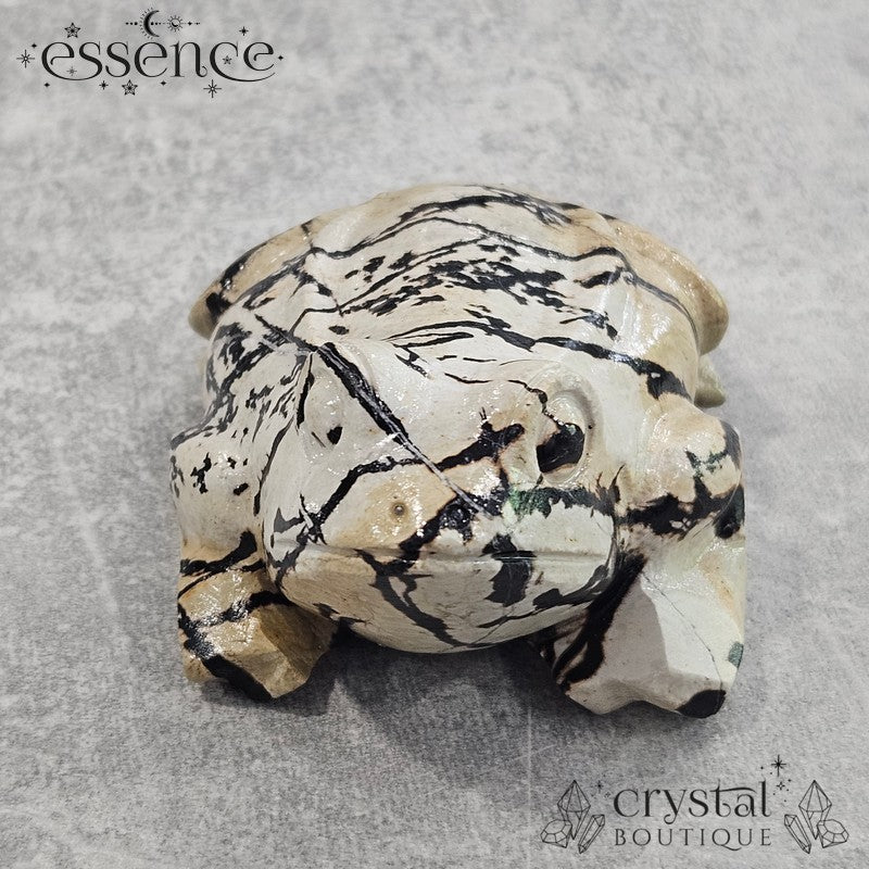 Picture Jasper Frog